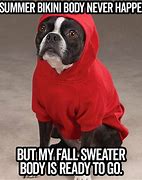 Image result for Fall Weather Quotes Funny
