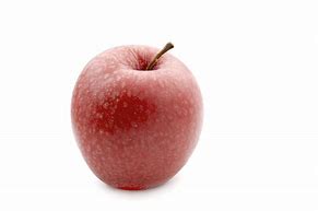 Image result for One to One Apple