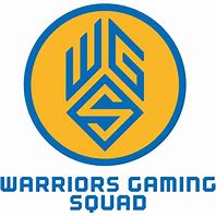 Image result for Warriors Gaming eSports
