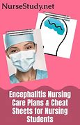Image result for Encephalitis Memory Notebook of Nursing