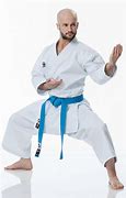 Image result for Karate Kata GI