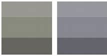 Image result for Pantone Cool Gray