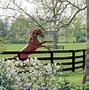 Image result for Race Horse Farms in Lexington-area
