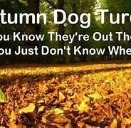 Image result for Autumn Afternoon Memes