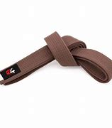 Image result for Shopping Karate Brown Belt