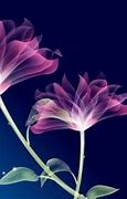 Image result for Luxury Phone Wallpaper