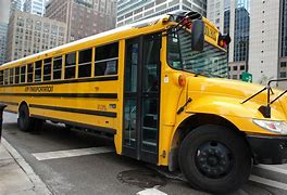 Image result for Chicago Timmy Teddy School Bus