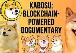 Image result for Kabosu Doge