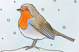 Image result for Draw Robin Step by Step