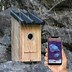 Image result for Camera for Birdhouse