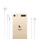 Image result for Gold Apple iPod Touch 7th Generation