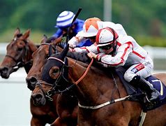 Image result for Royal Ascot Horse Grooms