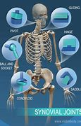 Image result for Invisable Joint. Figure