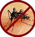 Image result for Dengue fever
