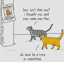 Image result for Most Funny Animals