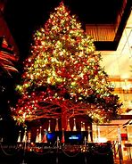 Image result for Ginza Night