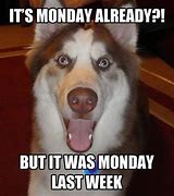 Image result for Happy Monday Work Bestie Meme