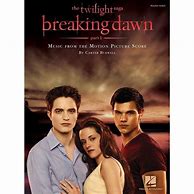 Image result for Breaking Dawn Book Cover