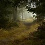 Image result for Home Screen Wallpaper Forest