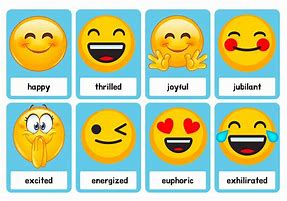 Image result for 12 Emotions