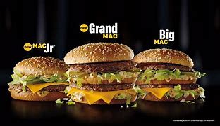 Image result for Future Big Mac
