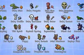 Image result for Terraria All Pets