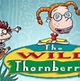 Image result for Nickelodeon Shows Cartoons