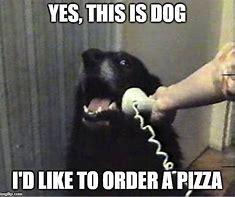 Image result for Pizza Dog Meme