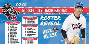 Image result for Trash Pandas Baseball