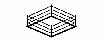 Image result for Wrestling Ring Black and White