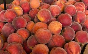 Image result for 2018 Peach Line Up