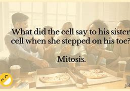 Image result for Email Mitosis Meme