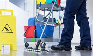 Image result for Clinical Janitor