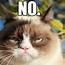 Image result for Grouchy Cat Meme