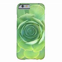 Image result for Succulent Phone Case
