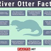 Image result for River Otter Habitat Map