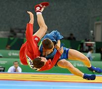 Image result for Master of Sambo Art