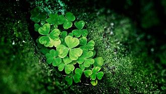 Image result for Laptop Wallpaper Shamrocks