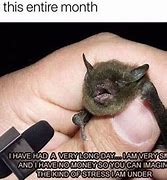 Image result for Baby Bat Meme