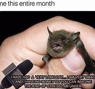 Image result for Holding a Bat Meme