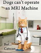 Image result for Cat Going to Surgery Memes