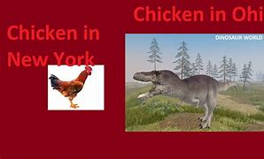 Image result for Ohio Chicken Meme