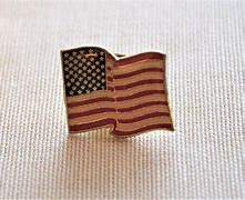Image result for Politician American Flag Lapel Pin
