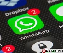 Image result for Latest Whatsapp Version