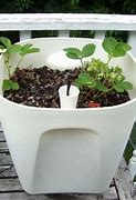Image result for Making Self Watering Planters