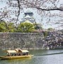 Image result for Cherry Blossom Valley in Osaka
