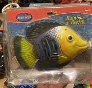 Image result for Rainbow Reef Sea Turtle Pool Toy