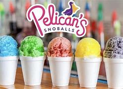 Image result for Pelicans Snowball Logo