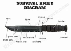 Image result for Best Survival Knife Design Diagram