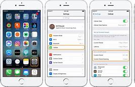 Image result for iPhone Turn Celluar Data